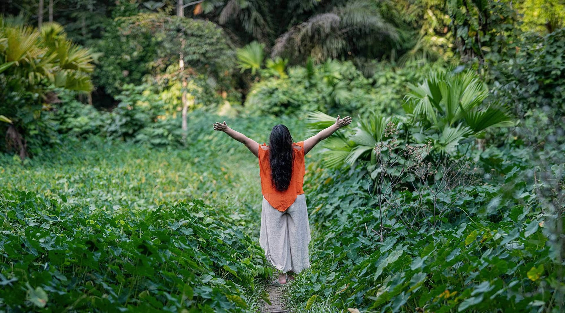 Ayahuasca helande retreat + 5-dagars integrationsretreat