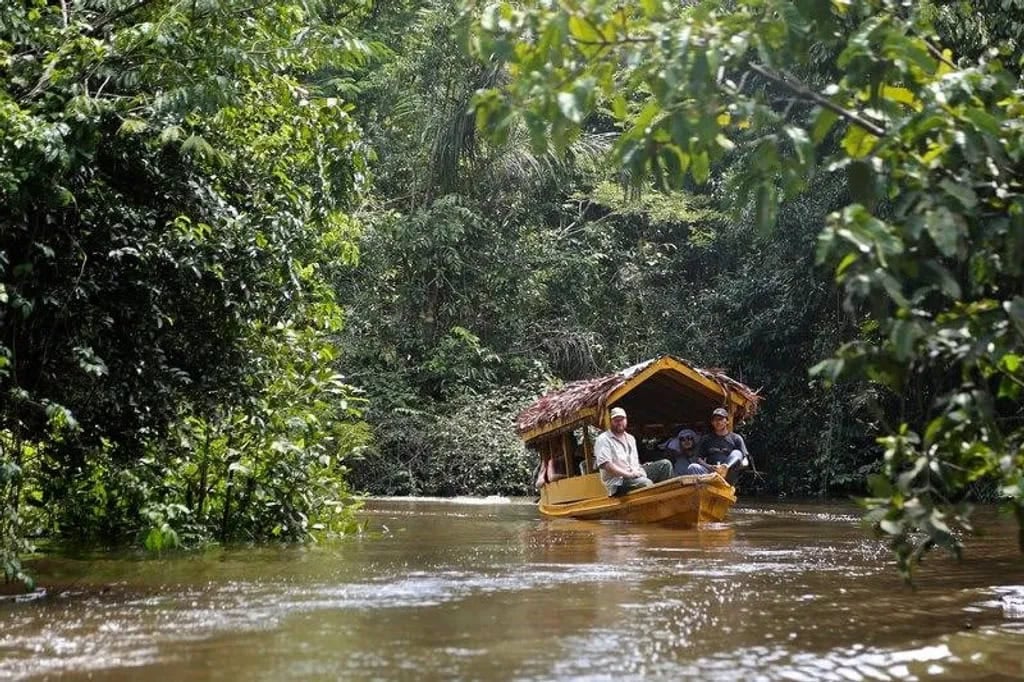 Ayahuasca helande retreat + 5-dagars integrationsretreat