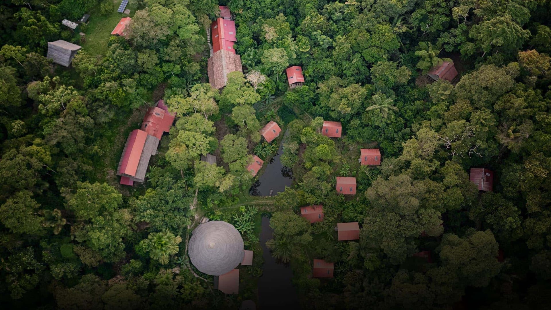 Ayahuasca helande retreat + 5-dagars integrationsretreat