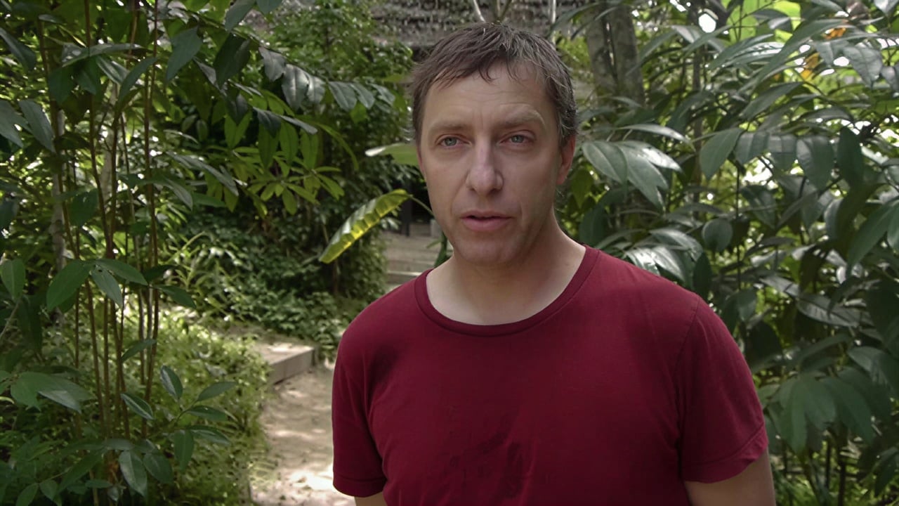 Ayahuasca helande retreat + 5-dagars integrationsretreat