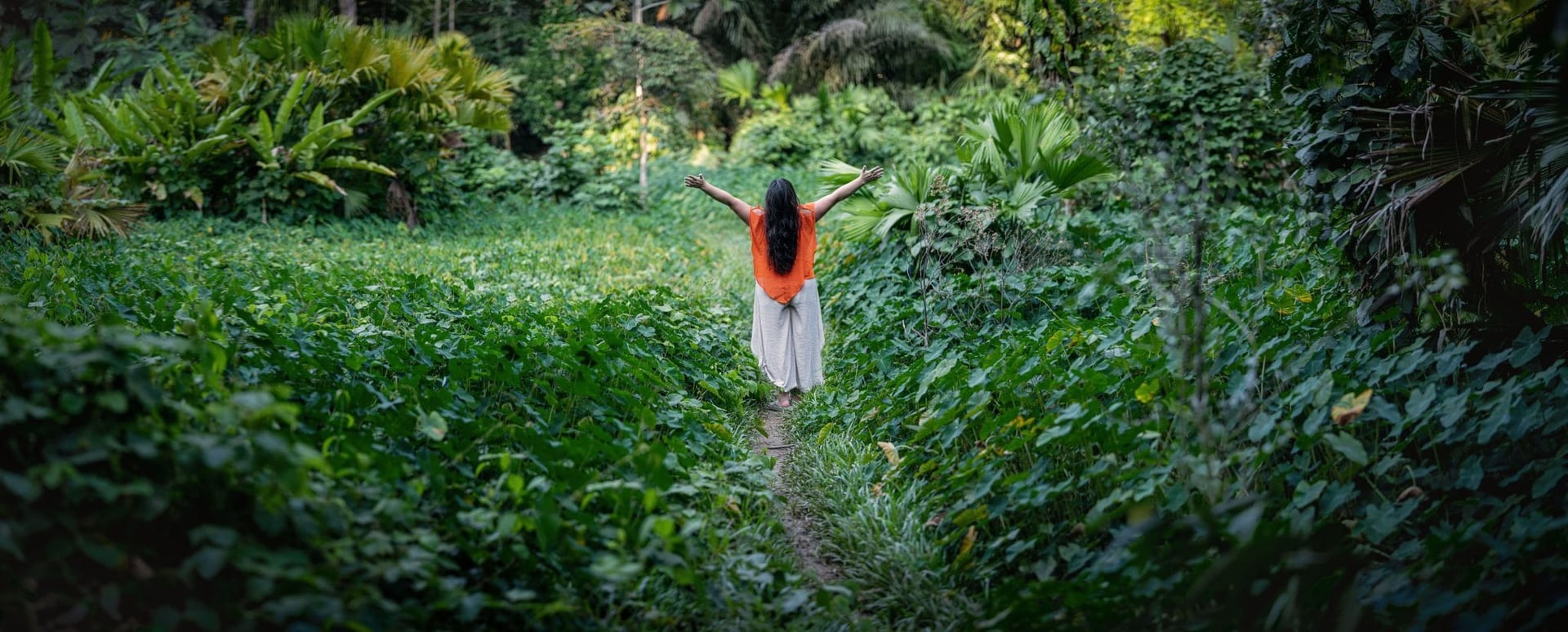 Kvinnors ayahuascahealingretreat