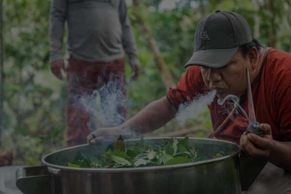 Retreat för vårdpersonal med ayahuasca 2026