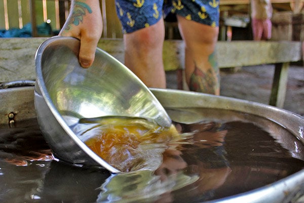 Fyra veckors ayahuasca-läknings- och stärkandekurs