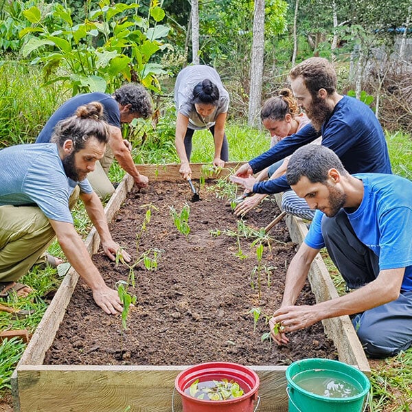 Åtta veckors Shipibo-ayahuasca-initieringskurs i Peru – 5 juli–29 augusti 2026