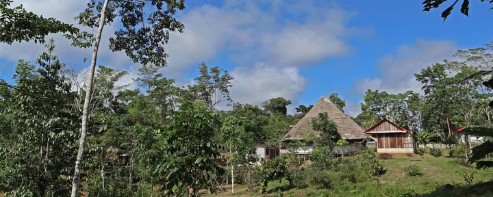 Åtta veckors Shipibo-ayahuasca-initieringskurs i Peru – 4 oktober–28 november 2026
