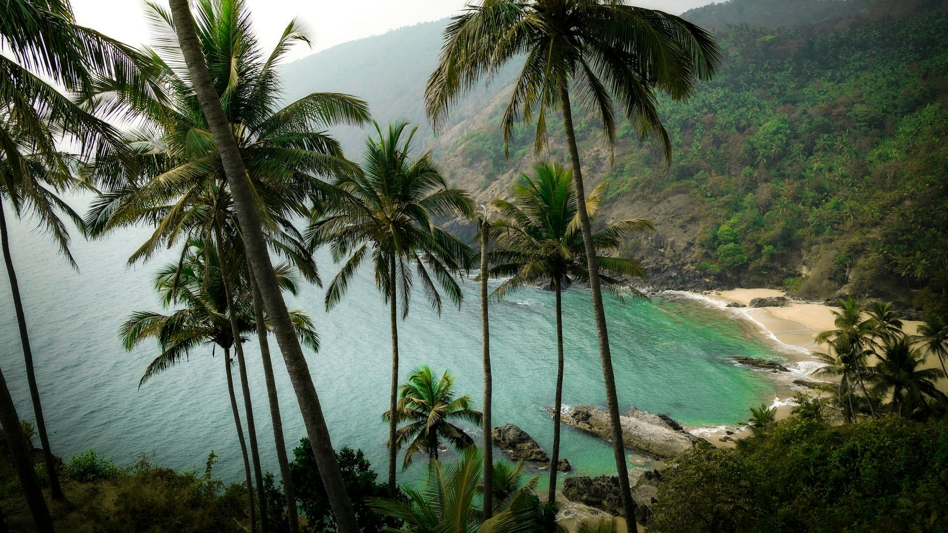 Yoga-retreat i eld och nektar i Goa, Indien