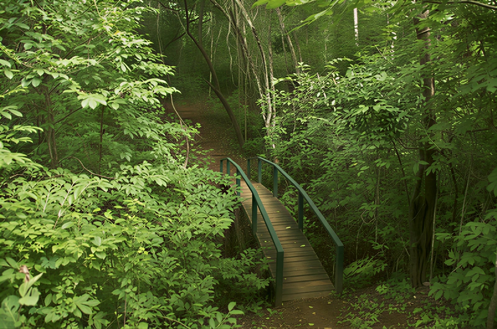 Tyst retreatpaket – juli 2026