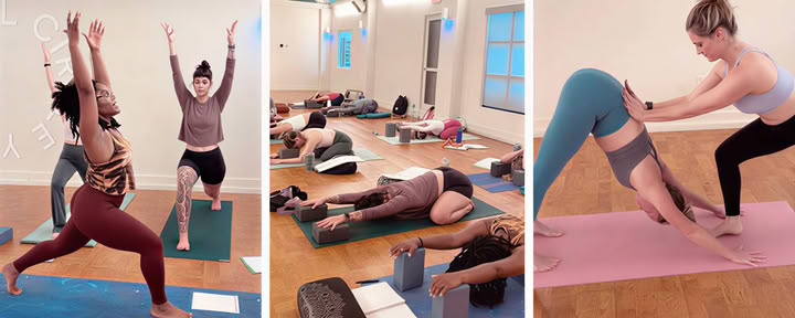 FCY 200-timmars Yoga Alliance-utbildning