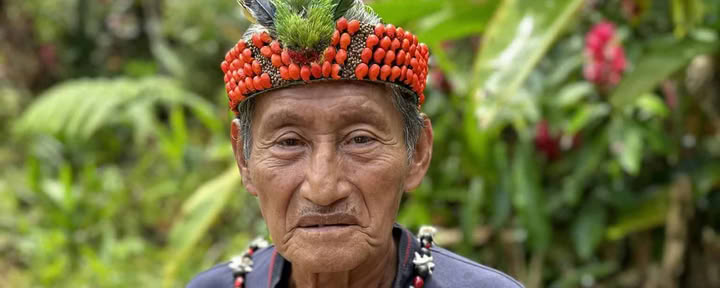5-dagars ayahuascaretreat i Ecuador