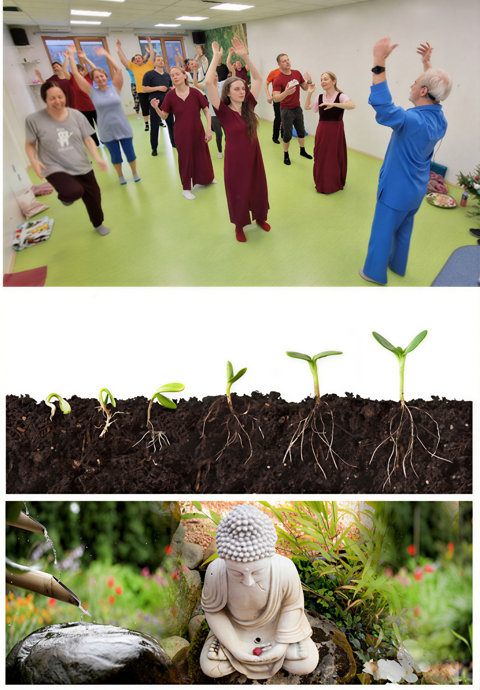 Meditationsskola – 5. Från vanor och sinnet till glädje och kärlek