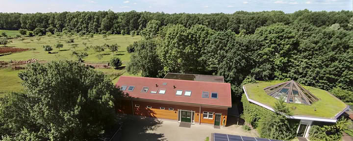 Avancerad essens- och naturretreat för män (4 dagar)