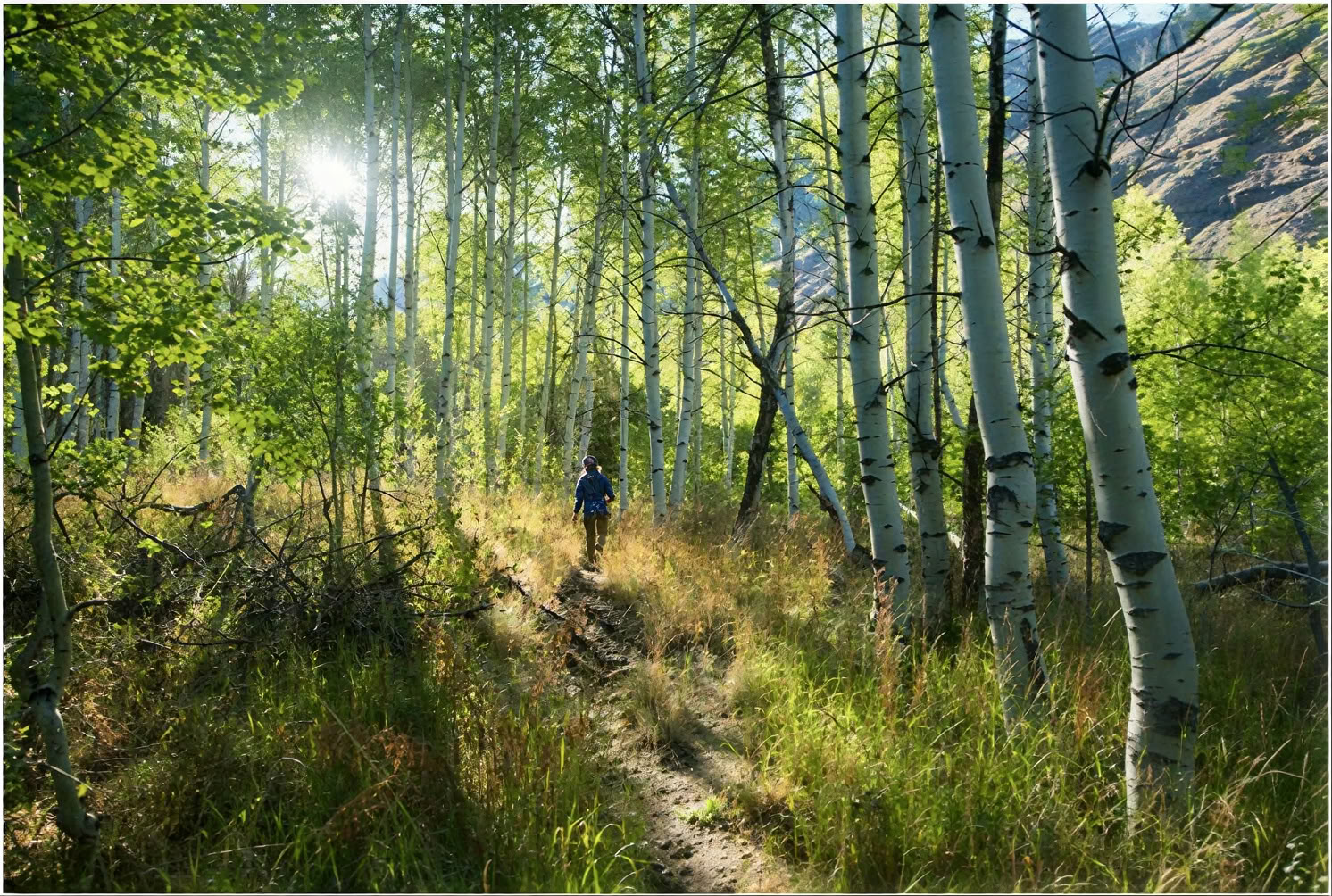 Bergets hjärta-sesshin: en vandringssesshin vid Bells Mountain Dharma Center