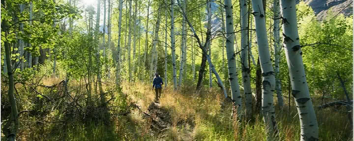 Bergets hjärta-sesshin: en vandringssesshin vid Bells Mountain Dharma Center