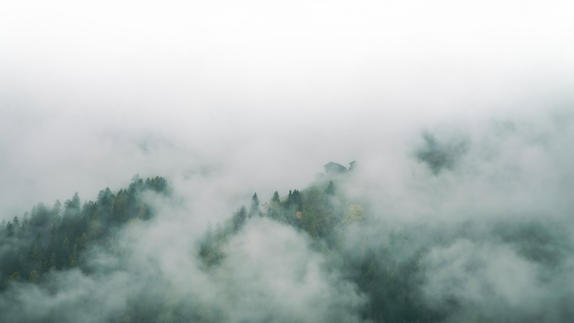 Shamatha-meditation – förmiddag