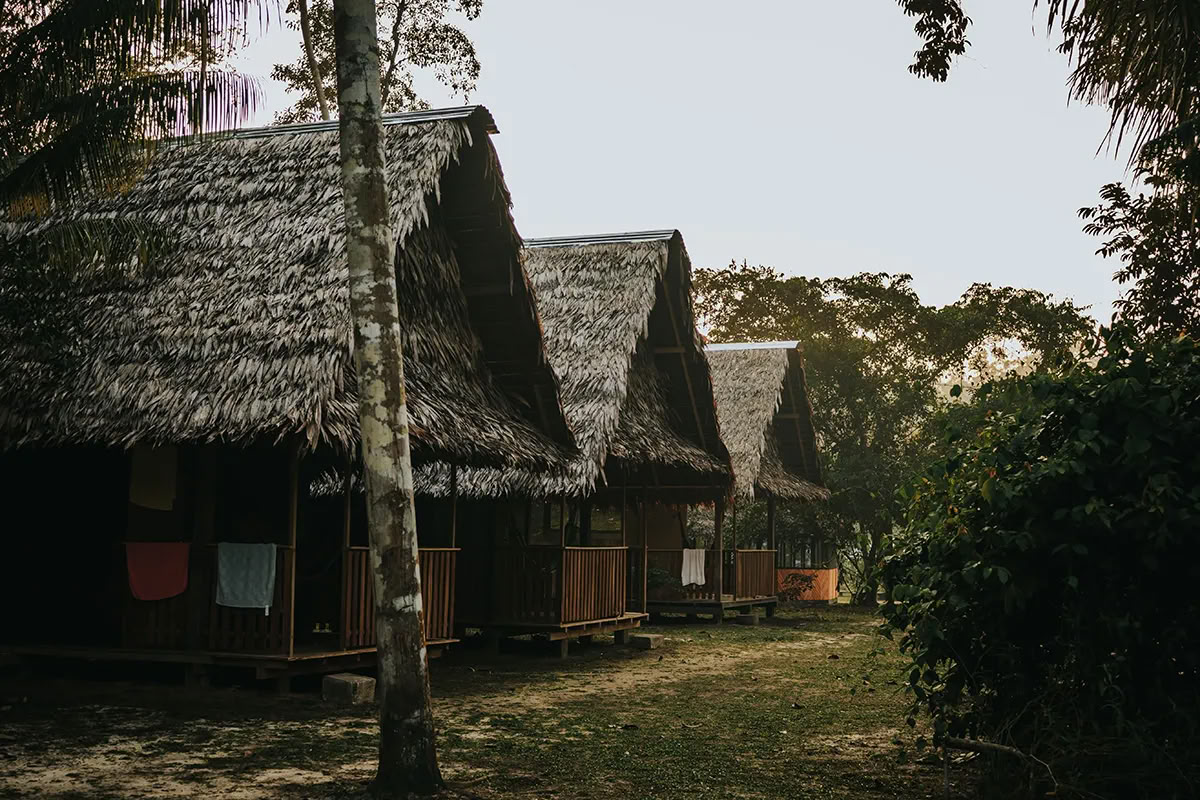 Transformationsayahuasca-retreat
