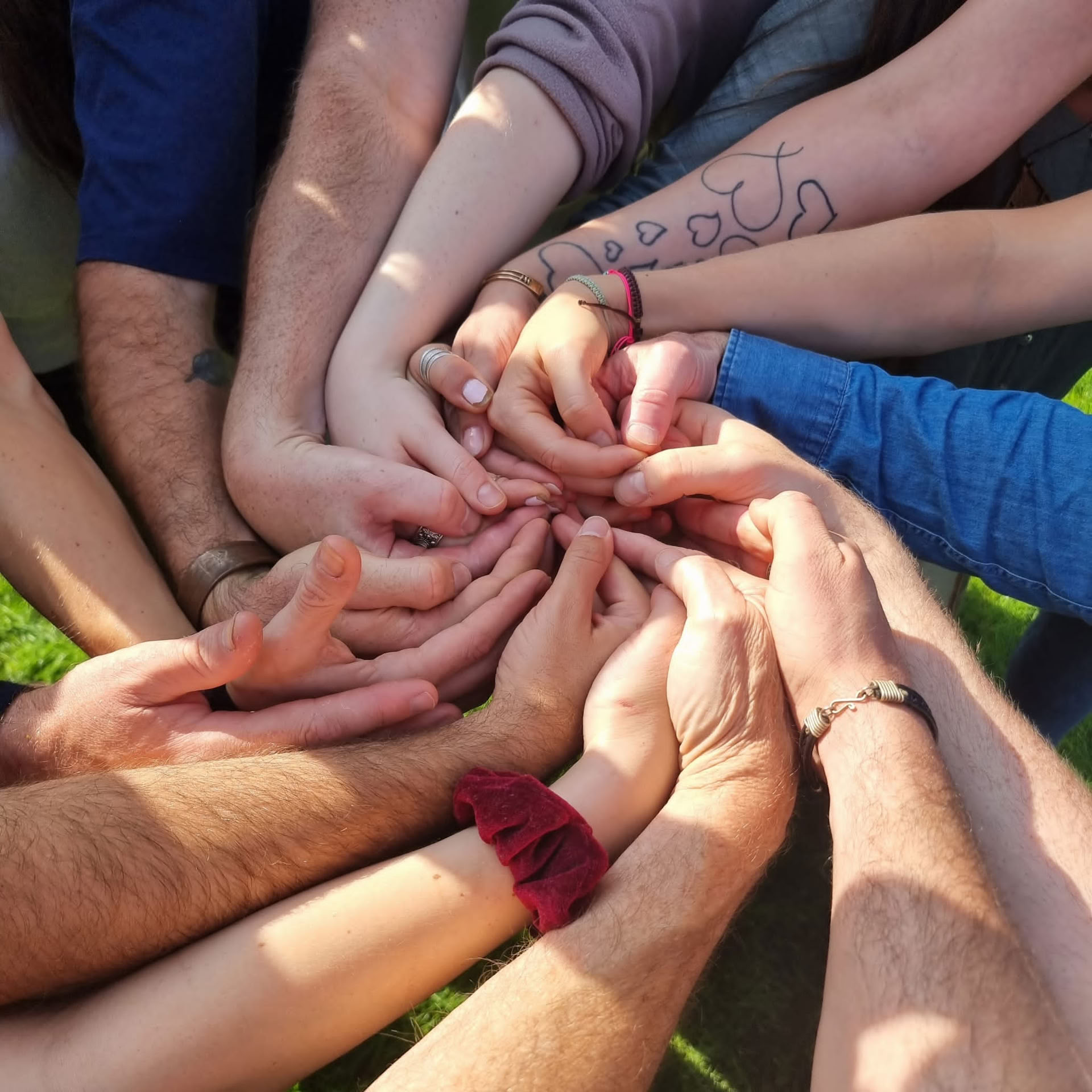 Inwardbound 5-dagars gruppretreat med psilocybin i Nederländerna för vd:ar