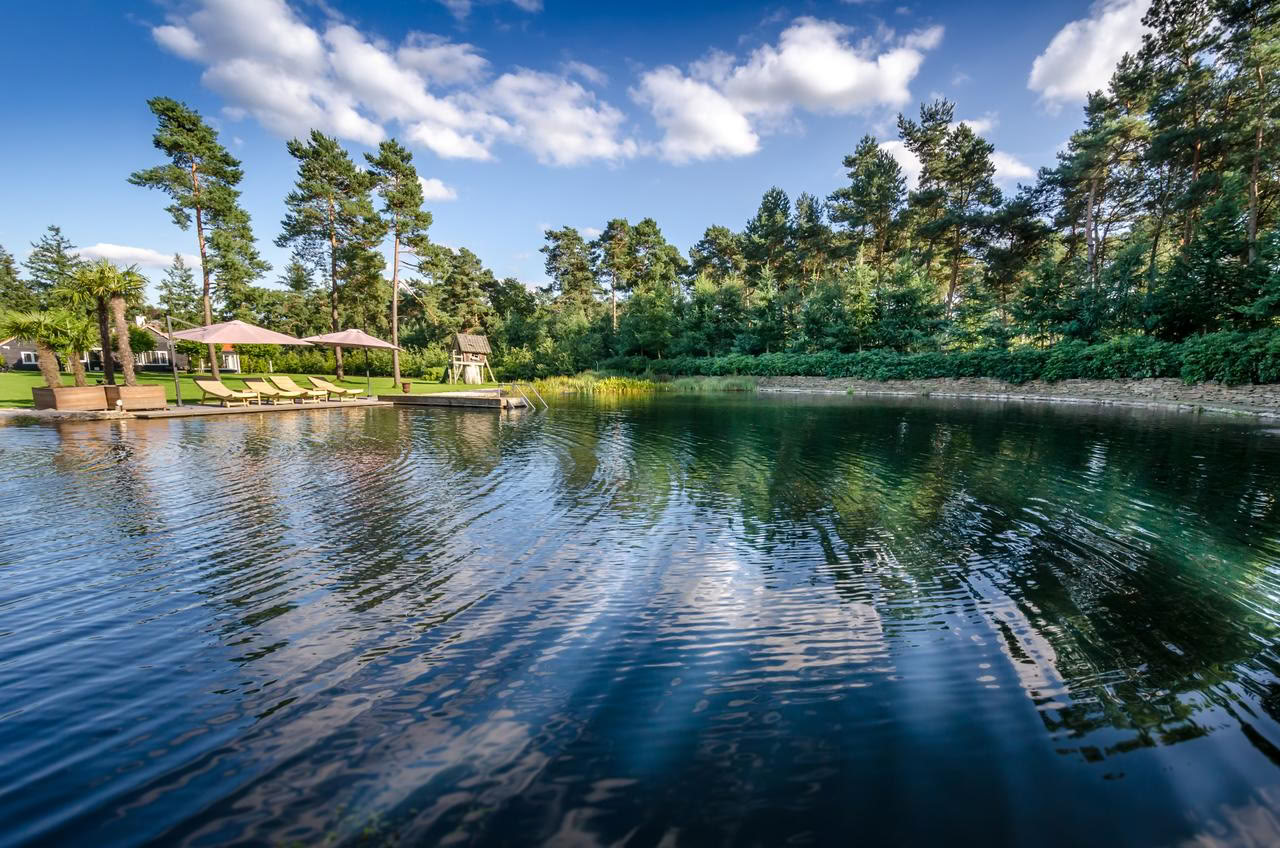 Privat psilocybin-retreat: 4 dagar, 2 psilocybin-sessioner