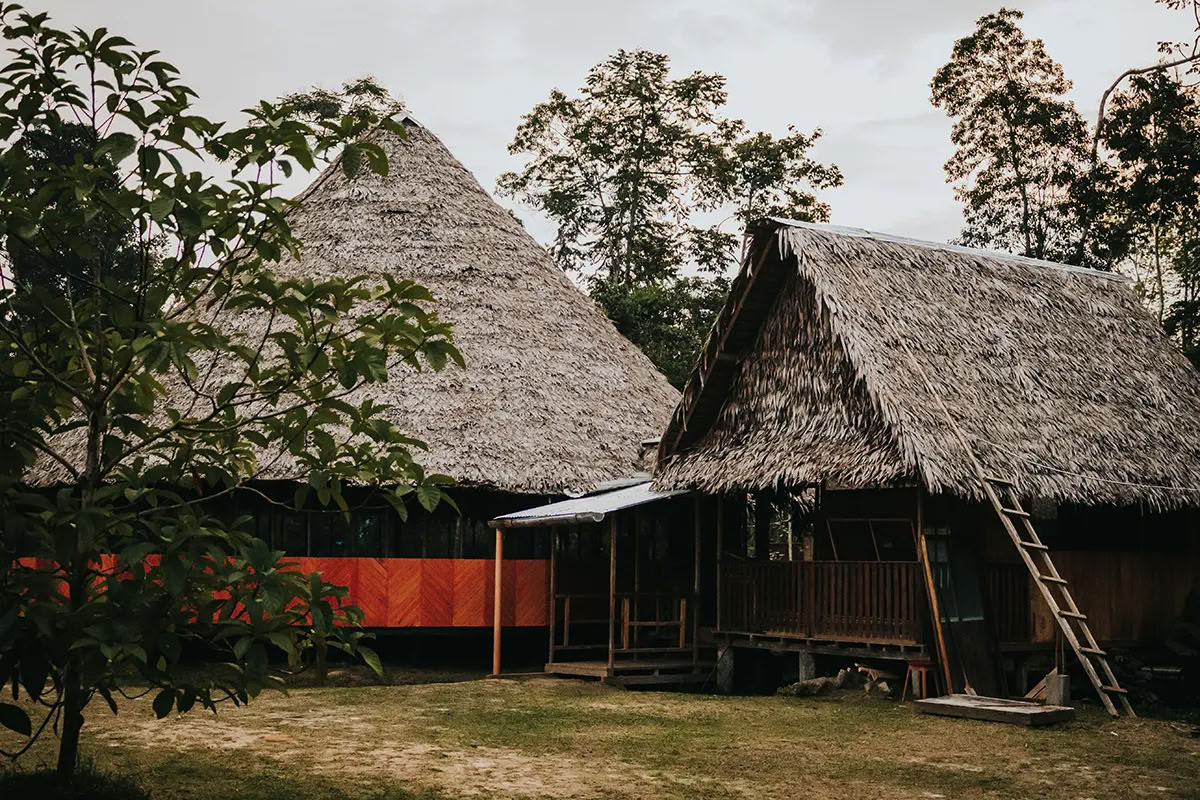 11-dagars ayahuasca-retreat i Peru – 31 augusti–10 september 2026 | Shipibo-healing och integration