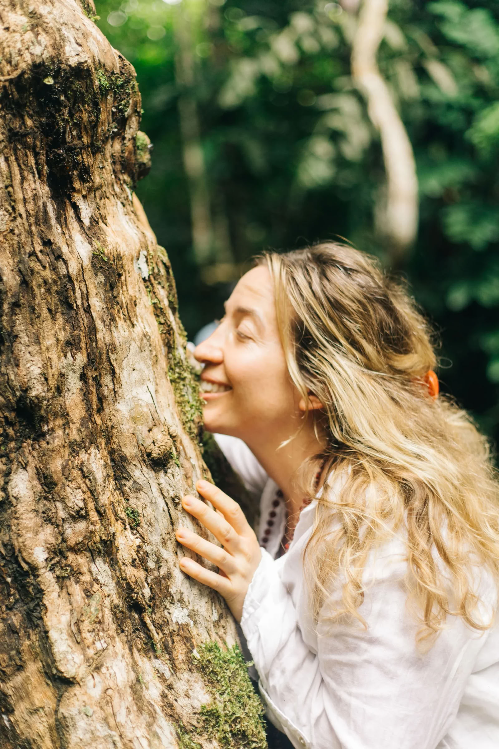 11-dagars ayahuasca-retreat i Peru – 31 augusti–10 september 2026 | Shipibo-healing och integration