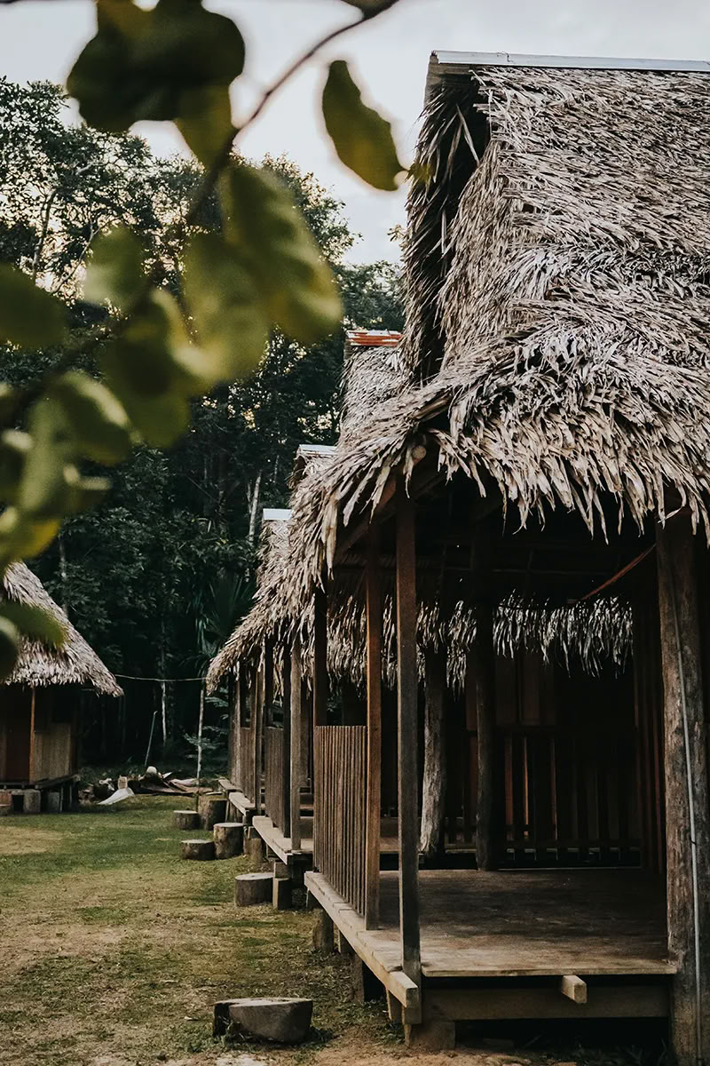 11-dagars ayahuascaretreat i Peru – 24 juli–3 augusti 2026 | Shipibo-healing och integration