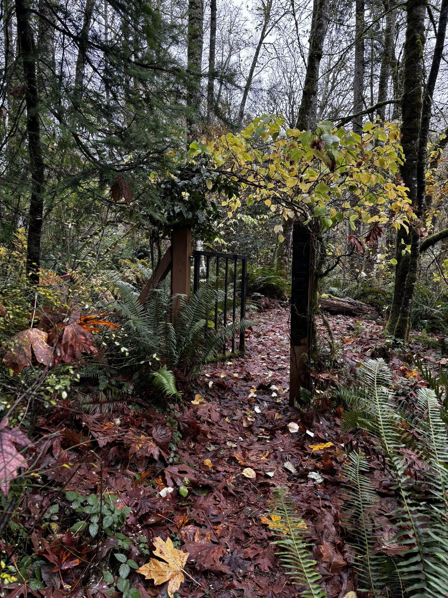 Skogsintryck: en medveten oljemålningsretreat