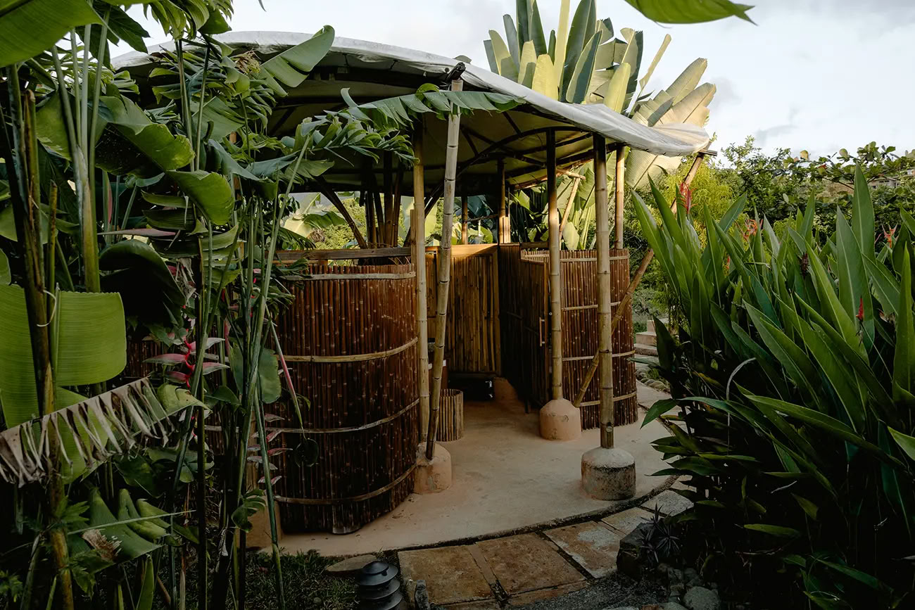 5 nätters ayahuascaretreat