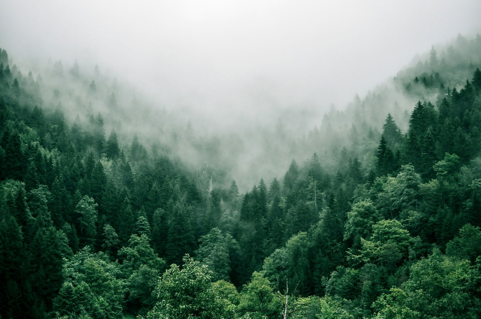 Det kraftfulla hjärtat i nuet: Arbetet som återknyter, andligt överflöd och Vajrasattva-empowerment – en veckolång retreat med Lama Linda Hochstetler och Karen McAllister — The Dharma Centre of Canada