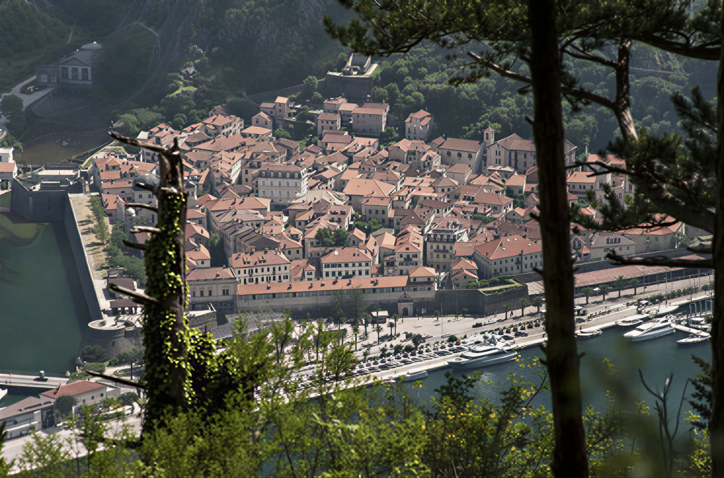 Privat rundtur i kloster i Montenegro