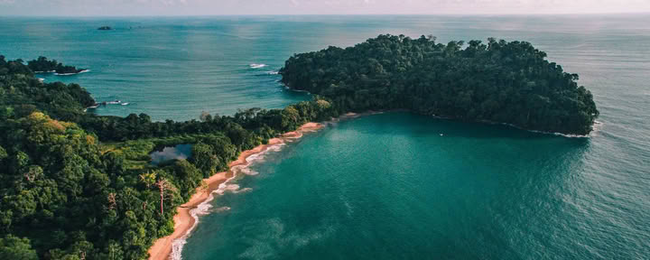 Dagsutflykt till Manuel Antonio (en dagsutflykt från San Jose)