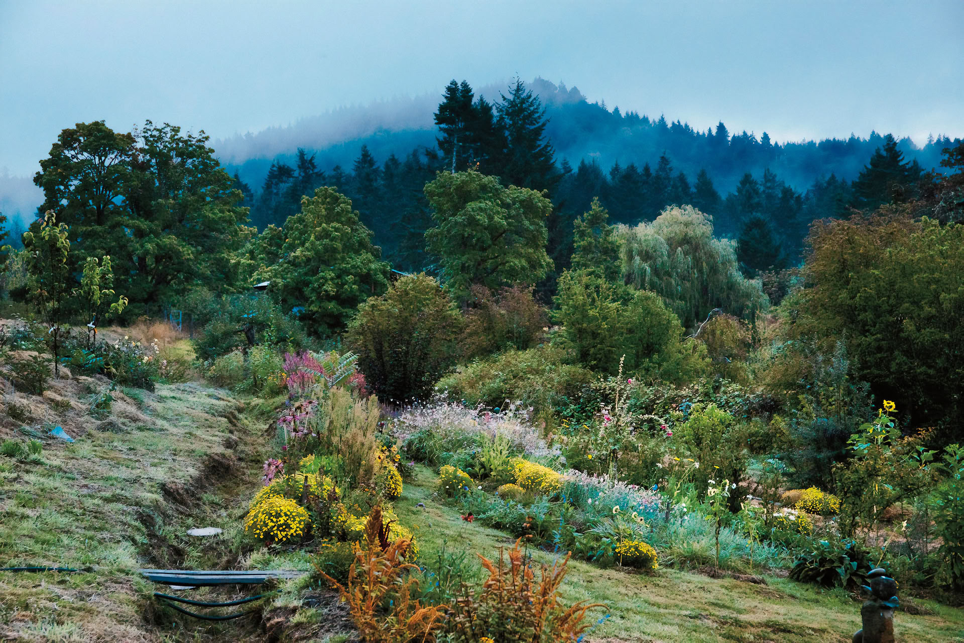 Wolf Willow Cascadia-retreat — Stowel Lake Farm