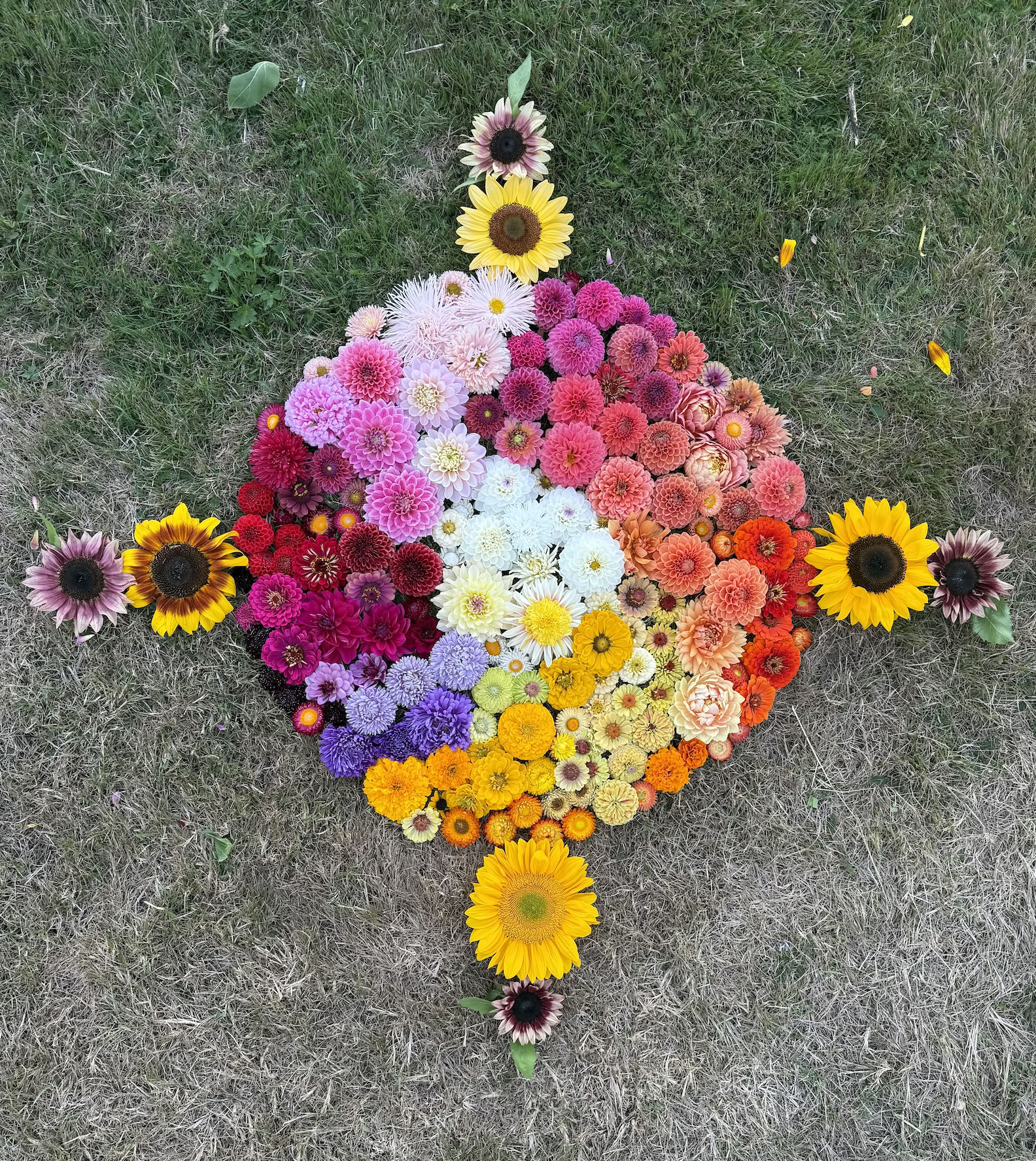 Blommor, yoga, hästar – sommarretreat 2026 — Stowel Lake Farm
