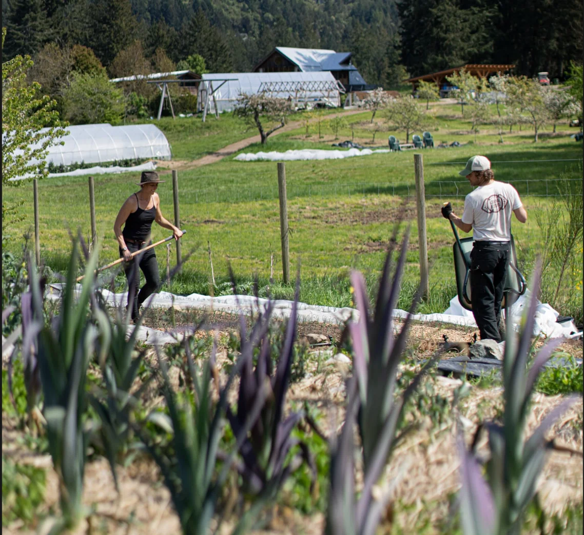 Förbereder trädgården för nästa säsong — Stowel Lake Farm