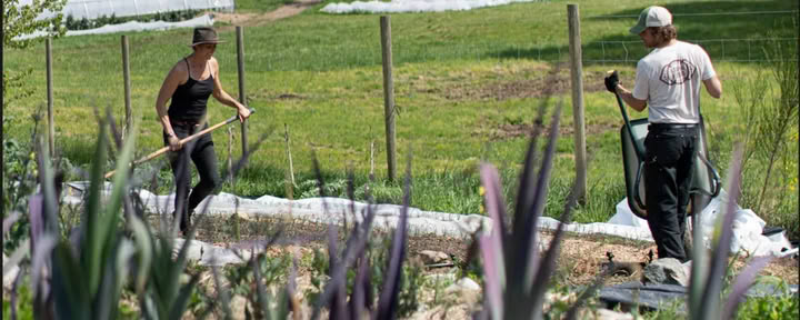 Förbereder trädgården för nästa säsong — Stowel Lake Farm