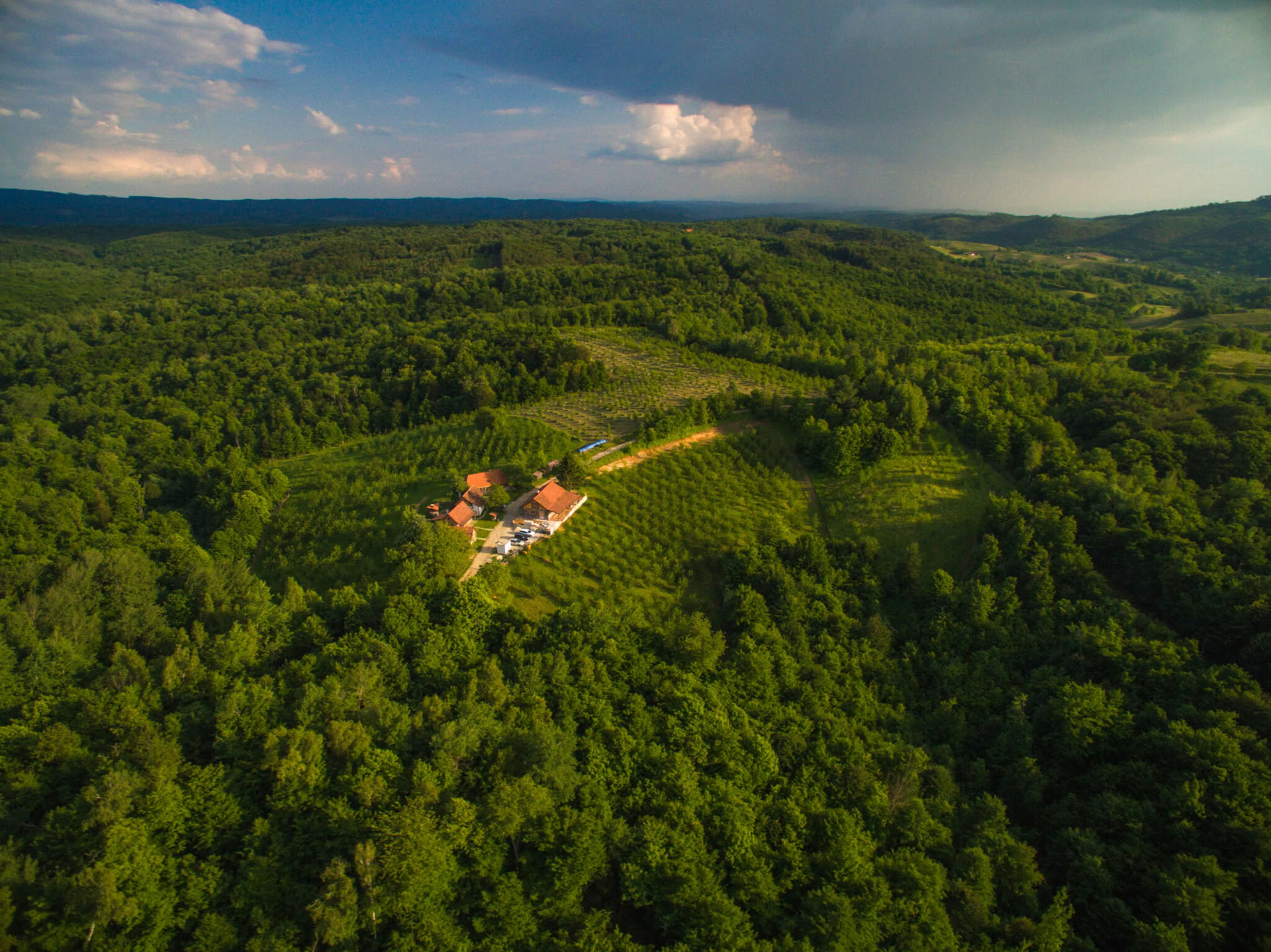 Yoga-retreat i skogen i Kroatien