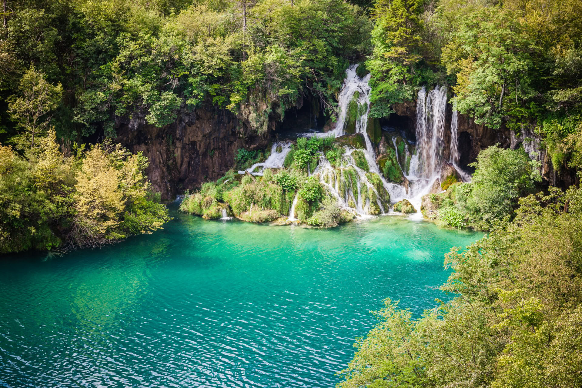 Yoga-retreat i skogen i Kroatien