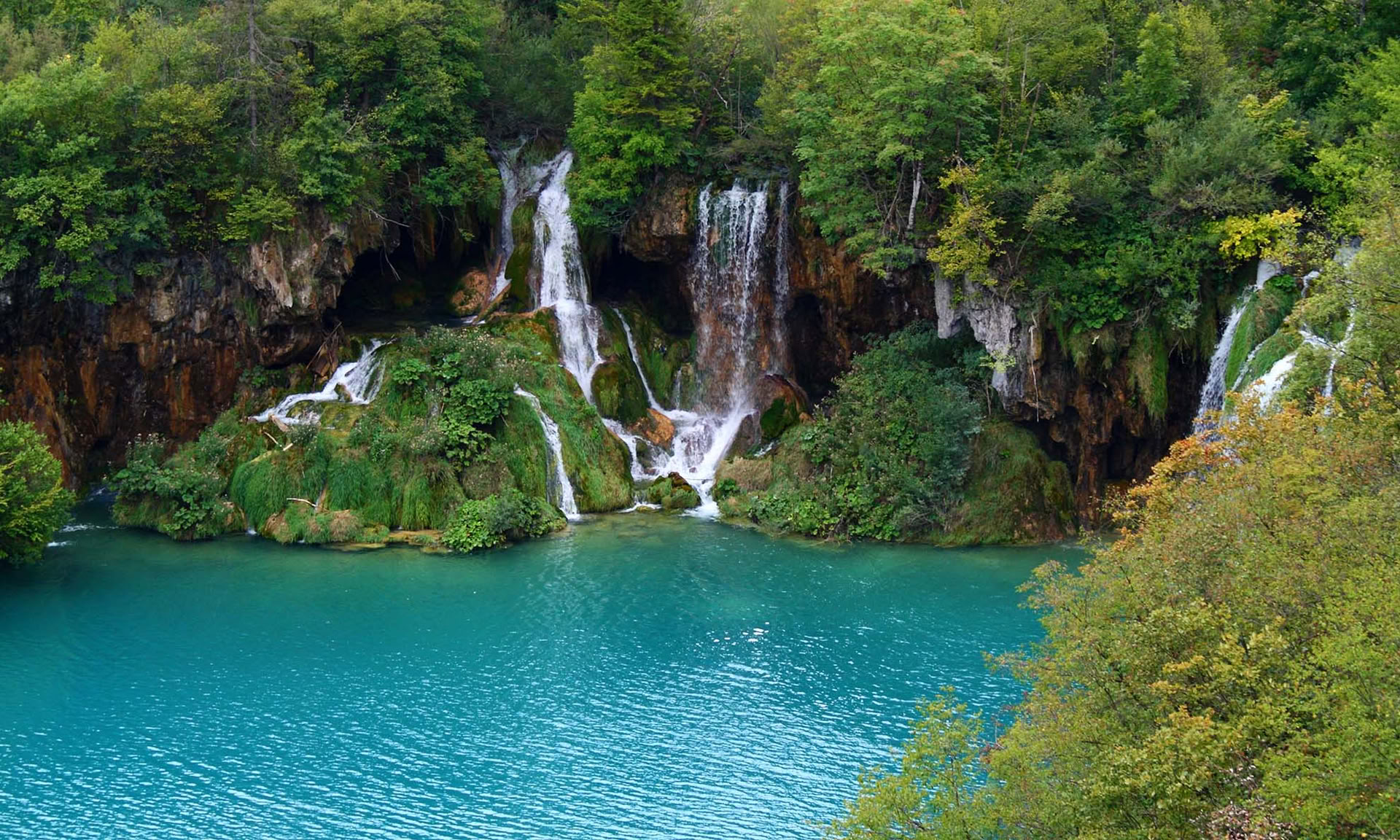 Yoga-retreat i skogen i Kroatien