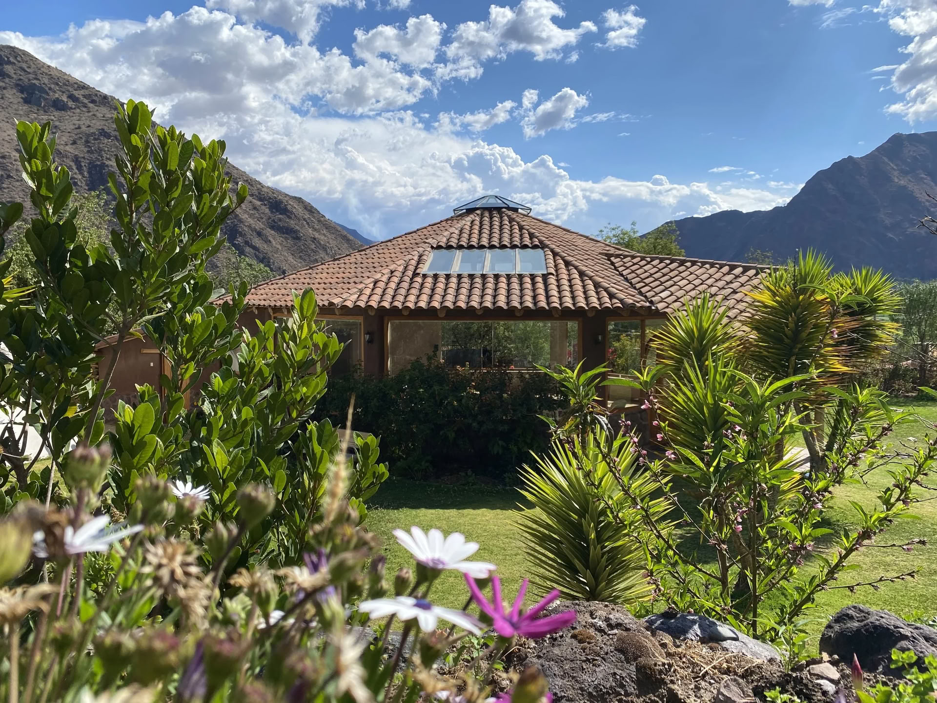 Stipendieretreat med ayahuasca
