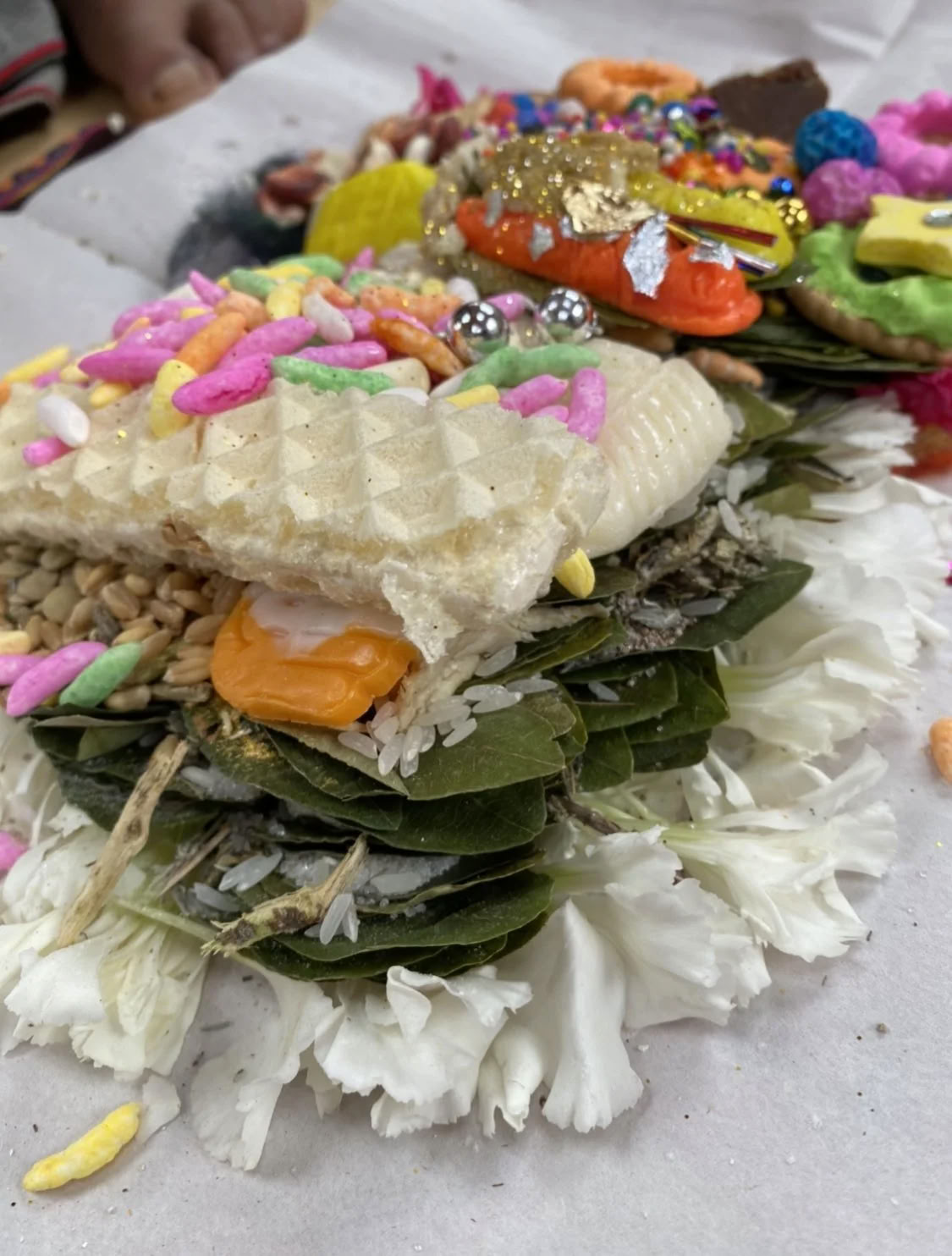Stipendieretreat med ayahuasca