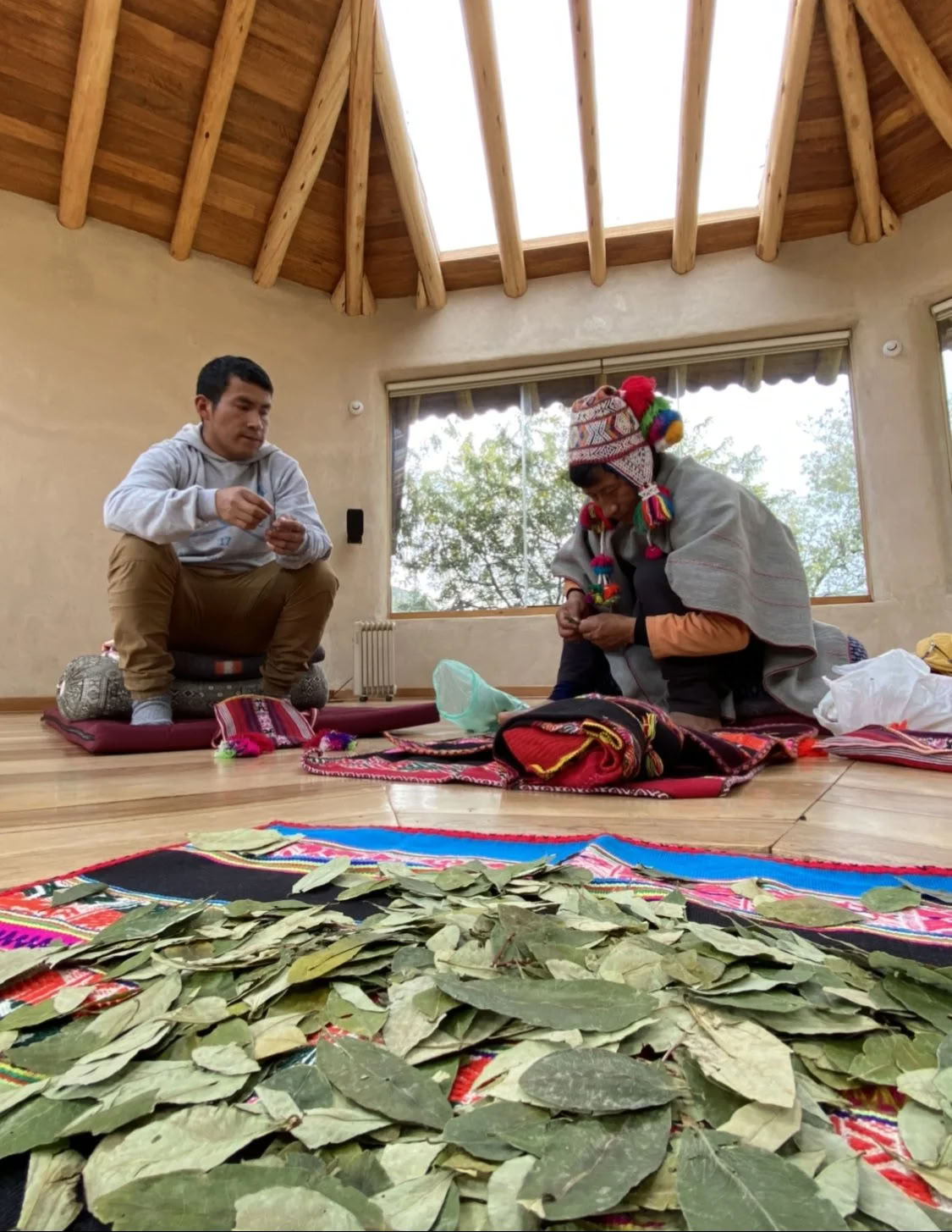 Stipendieretreat med ayahuasca