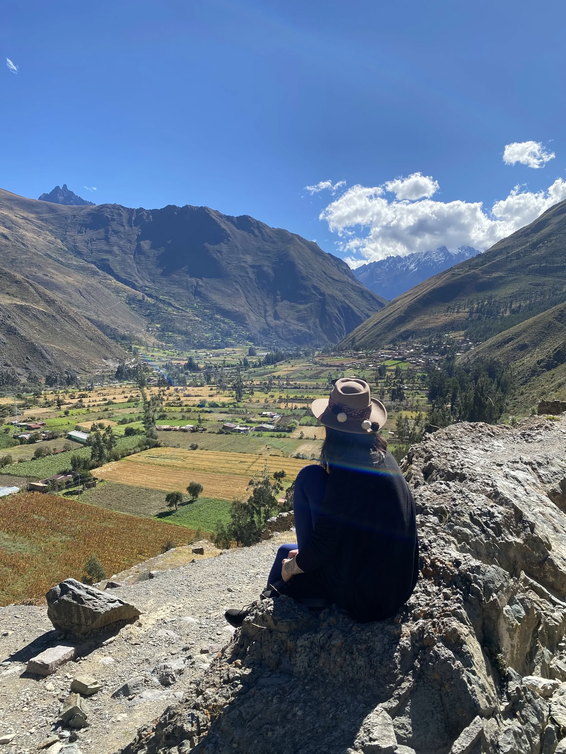 Stipendieretreat med ayahuasca
