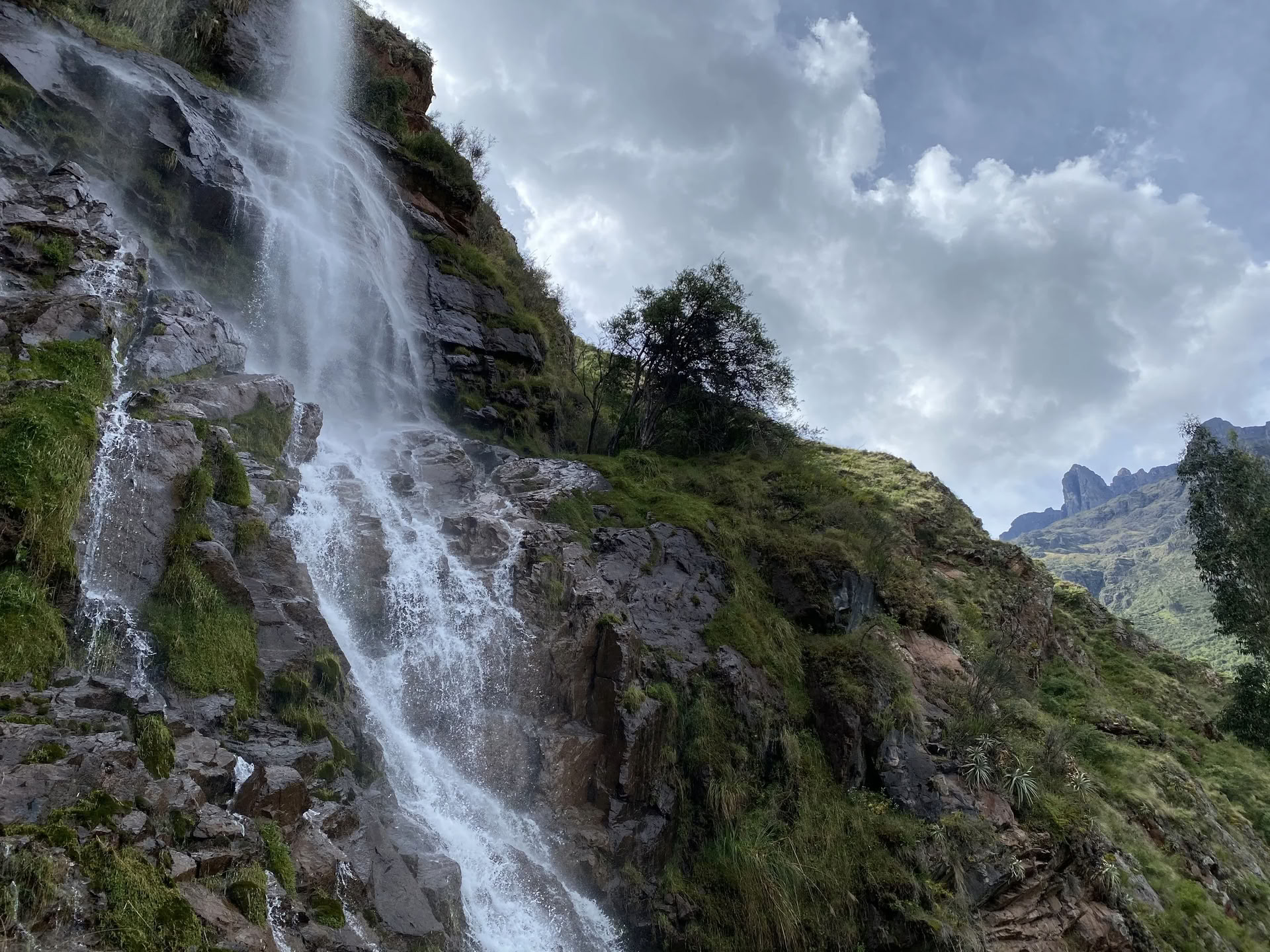 Stipendieretreat med ayahuasca