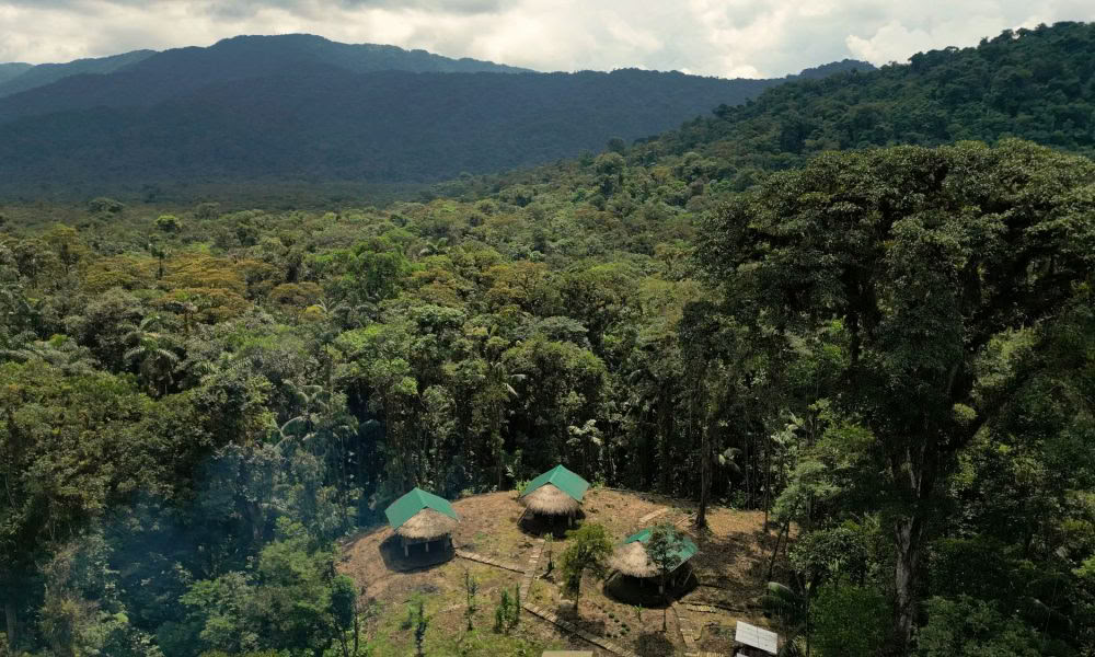 Ayahuasca-initieringsretreat: 7- och 14-dagars – 10–31 januari 2027