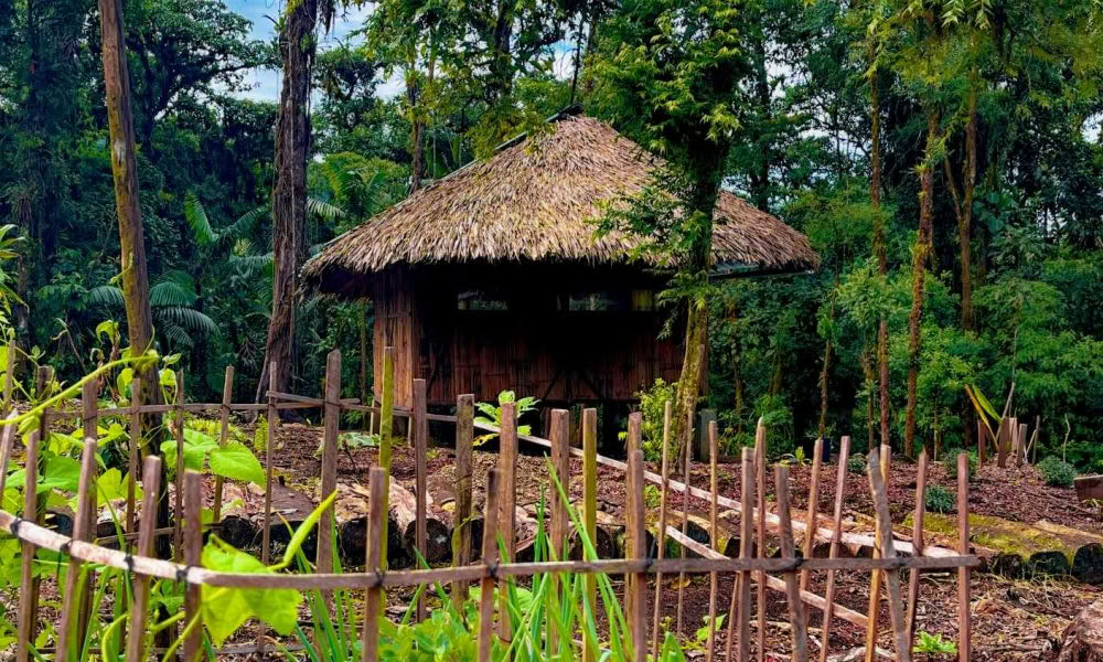 Ayahuasca-initieringsretreat: 7- och 14-dagars – 10–31 januari 2027