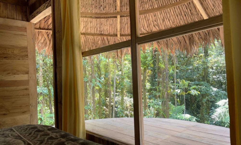 Ayahuasca initieringsretreat: 7- och 14-dagars – 3–24 februari 2027