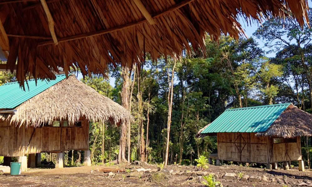 Ayahuasca initieringsretreat: 7- och 14-dagars – 3–24 februari 2027