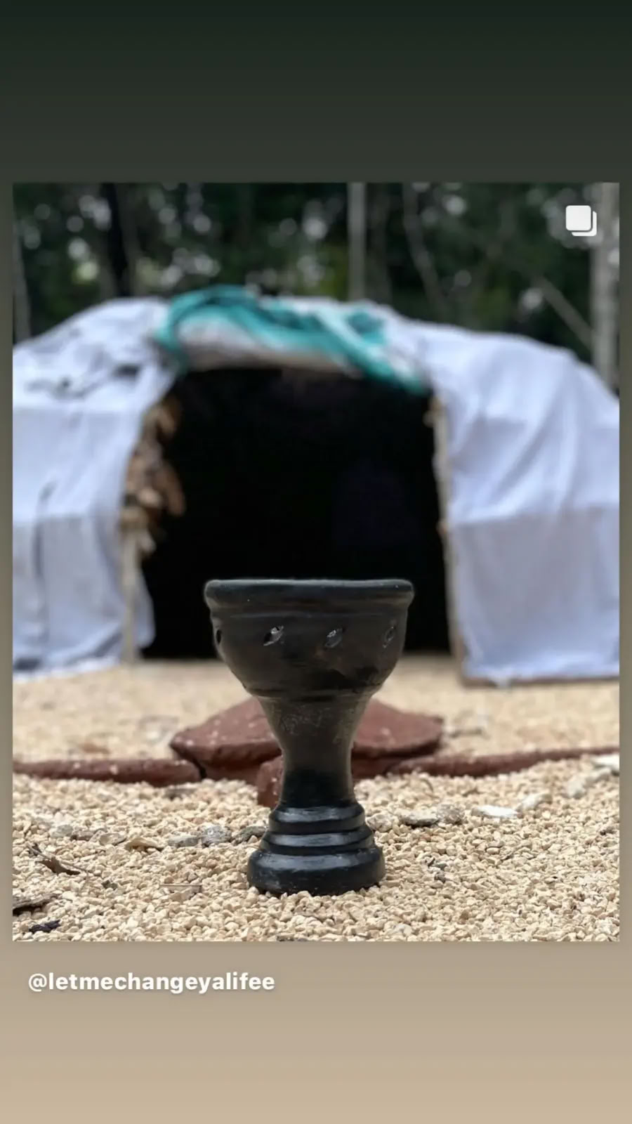 Ceremoni för växternas visdom