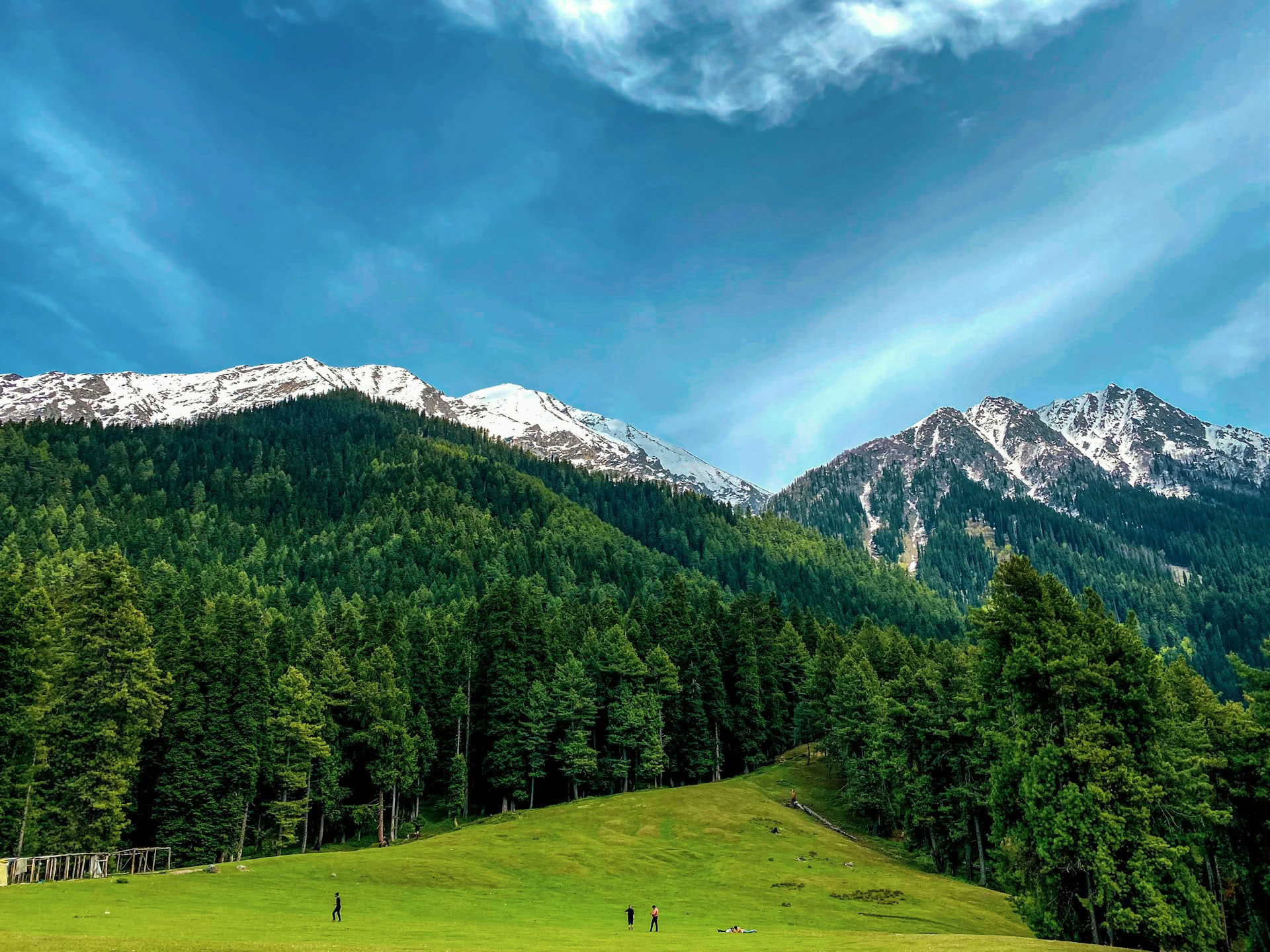 Dal Dreams & Mountain Days: En signaturupplevelse i Kashmir