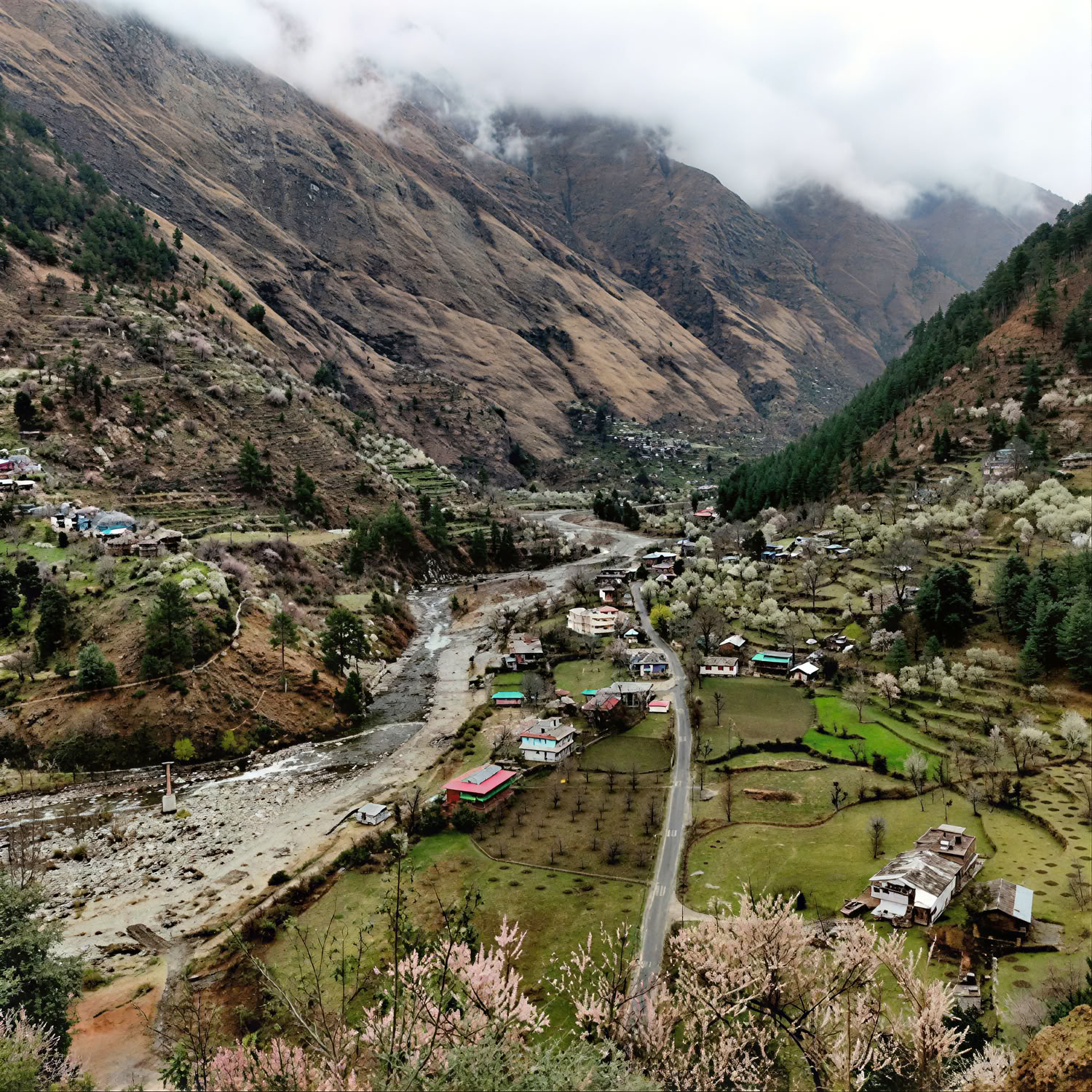 Skogsstigar till gömda byar: Himalayaretreat i Sojha, Tirthan och Sonaugi