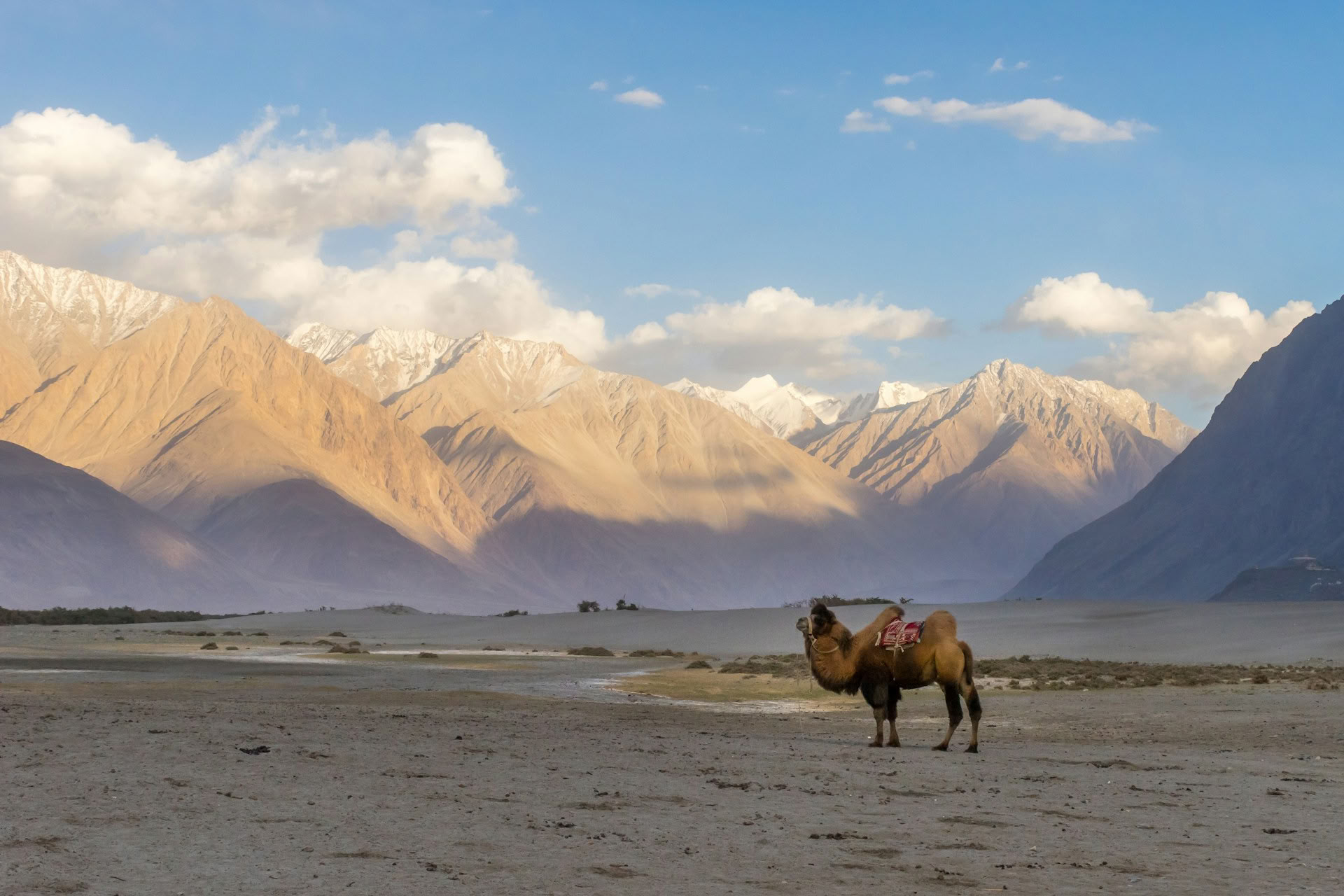 Kulturella leder i Ladakh via Zoji La och byn Turtuk