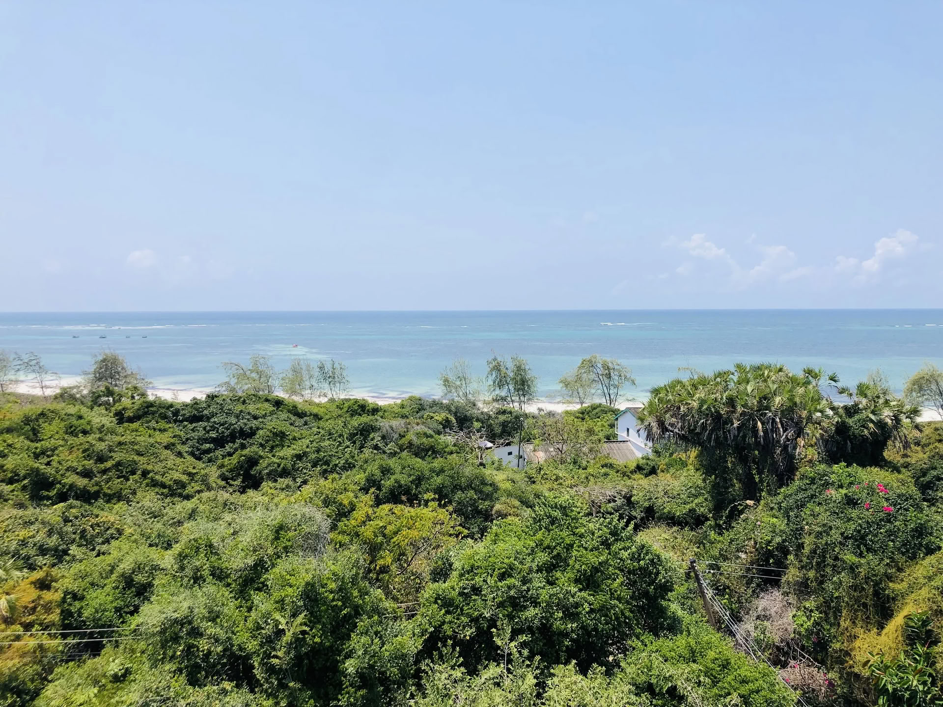 Yoga-retreat i det vilda, Watamu, Kenya